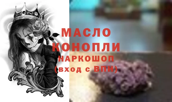 дмт Бородино