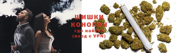 дмт Бородино