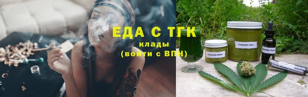 дмт Бородино