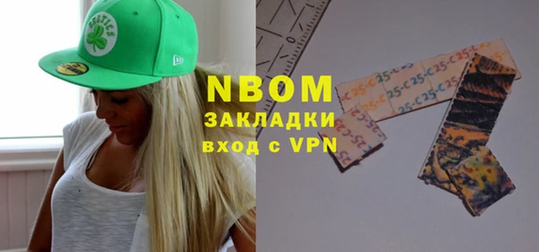 дмт Бородино