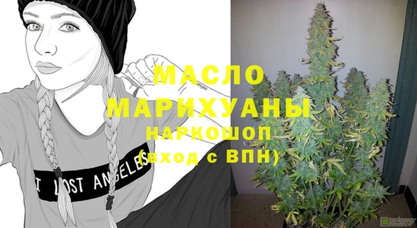 дмт Бородино