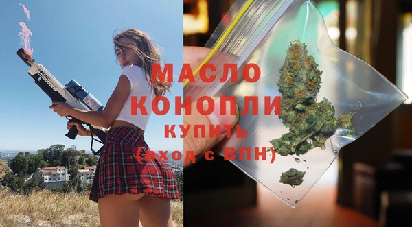 дмт Бородино