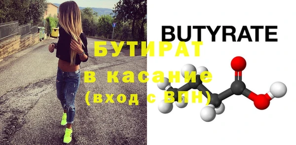 дмт Бородино