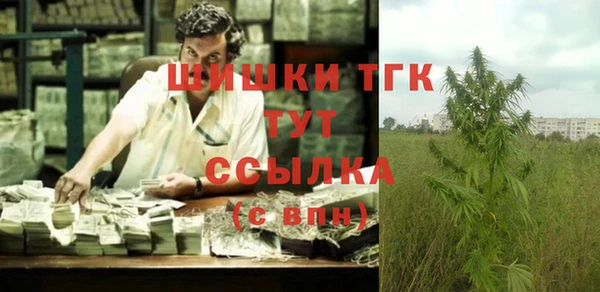 дмт Бородино