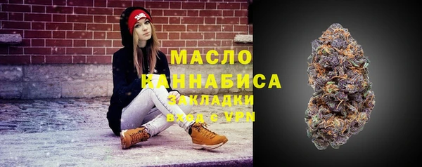 дмт Бородино