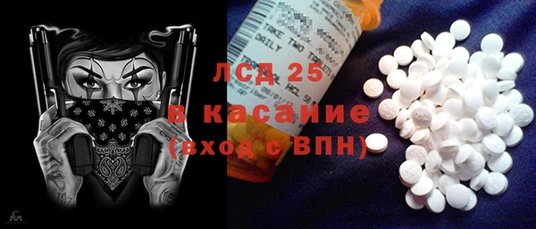 дмт Бородино