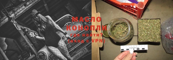 дмт Бородино